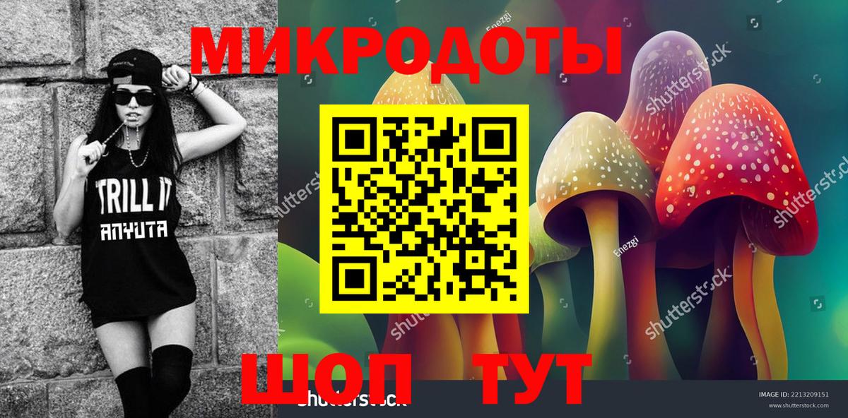 хочу наркоту  Галлюциногенные грибы Psilocybe  Вход с VPN  Армавир 